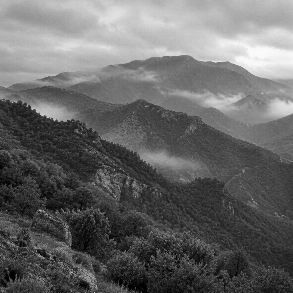Blueprint N. 01 — Itinerario dell'Aspromonte Occidentale: tracce, geografie e memorie di quota