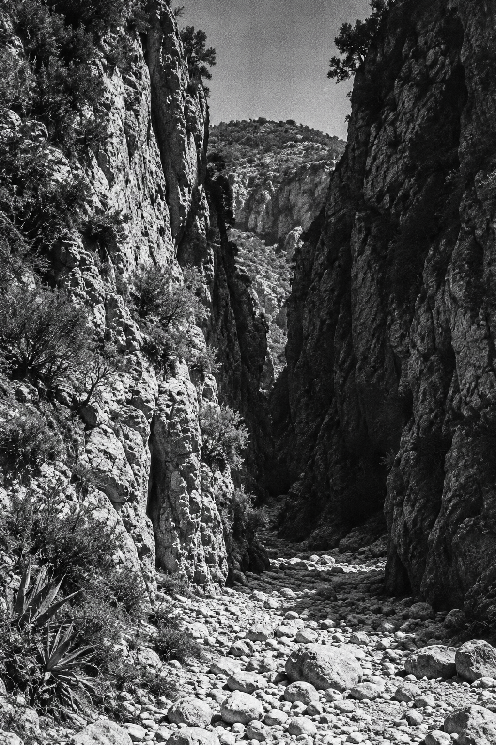 Le Fiumare — Fiumi fantasma tra Aspromonte e mare