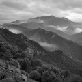 Interpretazione in bianco e nero di un crinale montano e pendii boschivi dell'Aspromonte occidentale