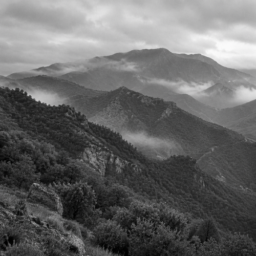 Interpretazione in bianco e nero di un crinale montano e pendii boschivi dell'Aspromonte occidentale